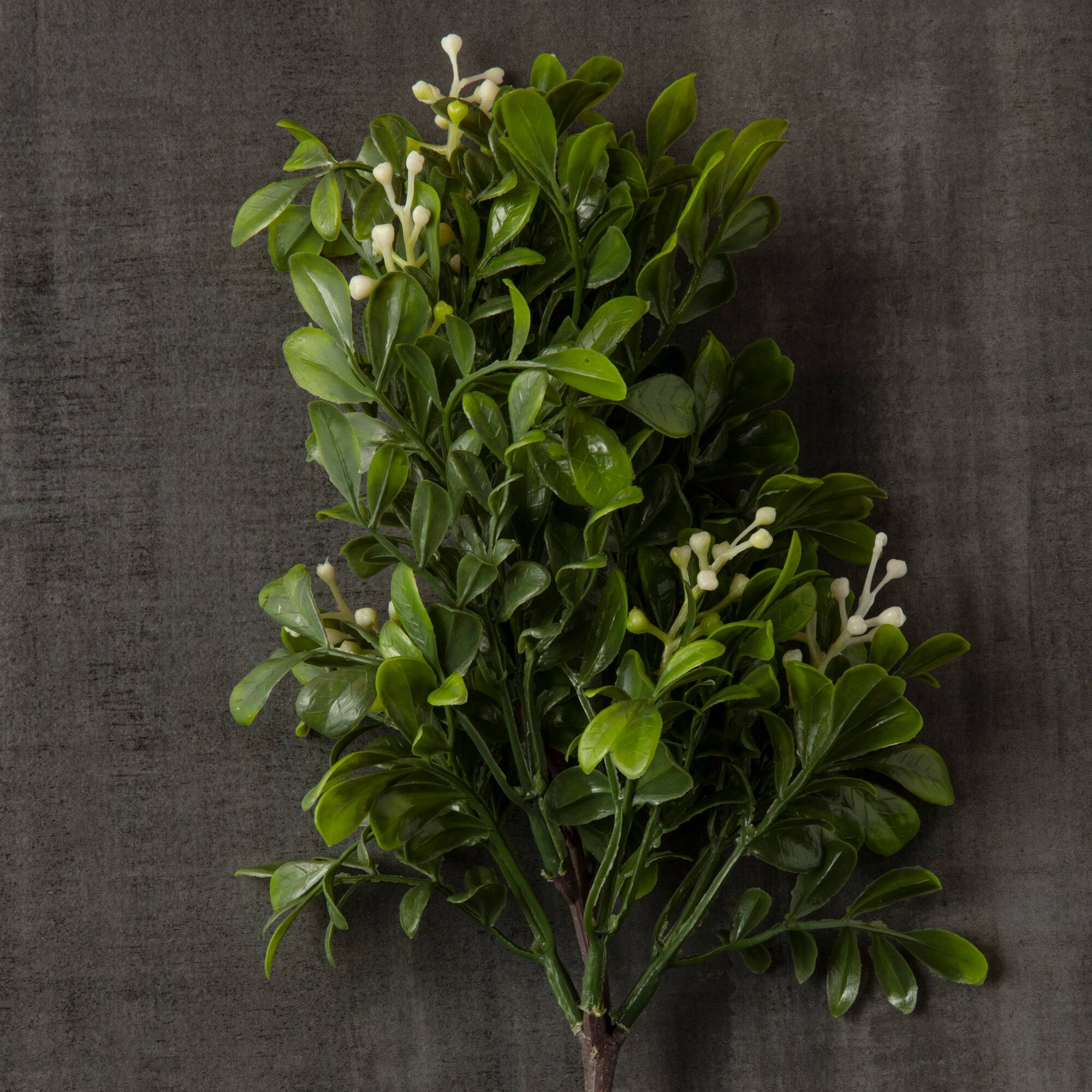 11" Boxwood Pick by Ashland®